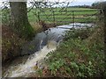 Stream near Staple Fitzpaine in TA3 5BL