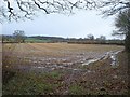 Field near Staple Fitzpaine in TA3 5BG