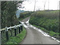 White-topped posts edge the lane below Greenway Manor in EX14 4UD