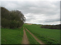 Bridleway Towards Ruckland in Maidenwell