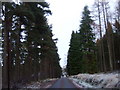 A road through the wood in AB31 4FY