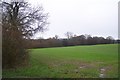View over Beston Wood in TN17 4BH