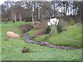 Floral garden and stream near Cliffe Cottages in DL2 3SS