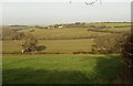 Fields near Langdown in EX17 5AZ
