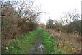 Stour Valley Walk in Stodmarsh Nature Reserve in CT3 4DA