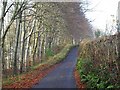 Lane above Bickleigh Vale in PL7 5EN