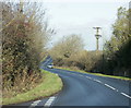 2009 : Unclassified road between Seend and the A365 in SN12 6QD