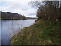 The River Tay by Duntuim in PH15 2EU