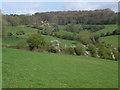Farmland below Whiteshill in GL6 6ED