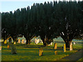 Sibthorpe churchyard in Sibthorpe