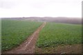 Footpath to High Tilt Farm in TN17 2AB