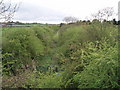 Track of Old Railway, nr. Higham on the Hill in CV13 6ES
