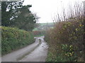 Road to Burrow Corner from Bickleigh in EX5 4BY