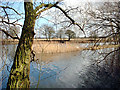 Deeping Lakes NR near Peterborough in PE6 7PQ