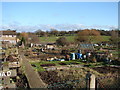 Archibald Road Allotments in RM3 0SA