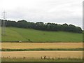 Arable land, Auchmuir Bridge in KY6 3JF