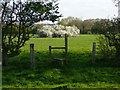 Footpath and stile leading to pond and May blossom in WA16 8SE