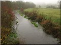 River Till at Stapleford in SP3 4LN