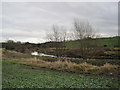 River Wear and farmland near Durham City in DH1 1HD