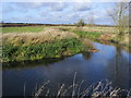 River Thame in HP19 8RU