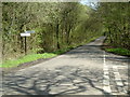 Road Junction in Bratch Copse in BH21 5QN