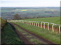 The Gallops at Toft Hill near High Mickley in NE43 7EH