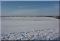 Snow covered field west of Elmswell in IP30 9NP