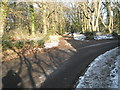 Path and road junction in Oxted Green in GU8 5BA