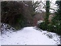 Snowy path in Dawsholm Park in G61 1QQ
