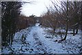 Snow covered path in Tonge Mill Countryside Park in ME9 9BD