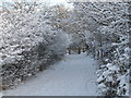 Snow-laden trees and gate in Flatts Lane (view north-east) in TS6 0FE