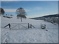 Gate and stile on the footpath to Mill farm (looking east) in TS7 0PQ