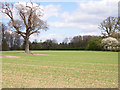 Farmland near Beaconsfield in HP9 2SF