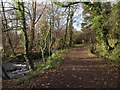 Path between river and leat, Berry's Wood in TQ12 1HD