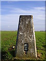 Foredoles Lane trig point in S66 8SL