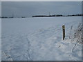 Footpath junction in the snow in TS7 0AX