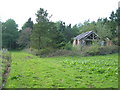Derelict building in Rushmoor Wood in EX5 1EA
