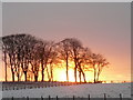 Winter sunset, near Rockfield in IV20 1RG