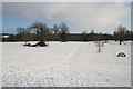Studley Park in the Snow in HG4 3XS