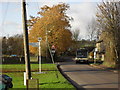Road by the village green, Ascott Under Wychwood in OX7 6AN