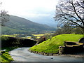 Lane in the Black Mountains in NP7 7LR