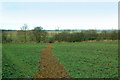 Well-defined footpath across a field north of Staverton in NN11 6JW