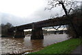 Ribble bridges, from Avenham Park, Preston in PR1 3NA
