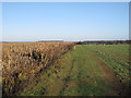 Footpath to Weston Colville in CB21 5NX