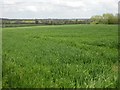 View over Oakley Hill in Dean and Shelton