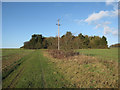 Footpath around the wood in CB21 5NX