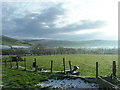 Winter sun on the fields east of Bryncrug in Bryncrug