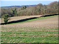 Stubble near Winterborne Whitechurch in DT11 0AB