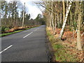 Country road through Lavington Common in GU28 0QL