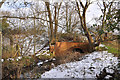 Red brick bridge beside the River Slea - Sleaford in Sleaford Castle Ward